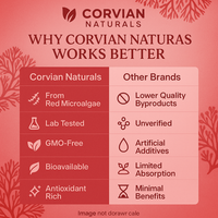 12mg Natural Astaxanthin – Powerful Antioxidant Support